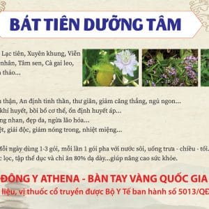 Bát Tiên Dưỡng Tâm