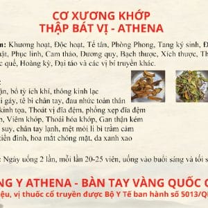 Cơ Xương Khớp Thập Bát Vị