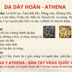 Dạ dày hoàn