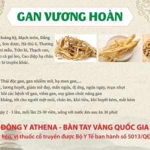 Gan Vương Hoàn