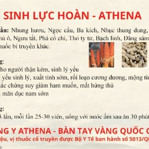 Sinh lực hoàn