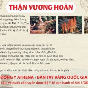 Thận Vương Hoàn